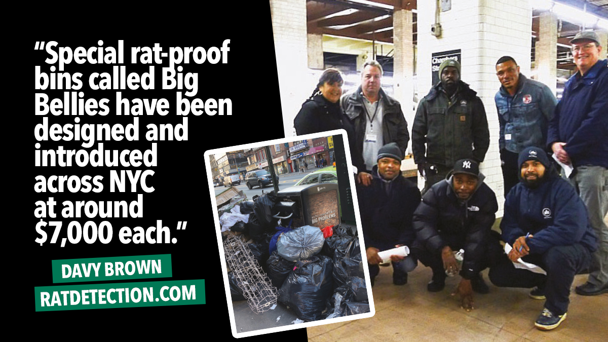 britpestcontrol's tweet photo. Start spreading the newwwws! 🗽 In #PPC98 we spoke to Davy and his team at https://t.co/lLd70r81NO, who took a trip to see the rats of NYC. Read: https://t.co/qJhF7UjlIy #PestControl #PestNews https://t.co/r2PNCzEEBR