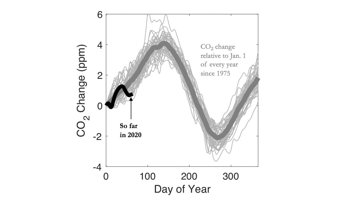 I'm not certain this is caused by  #COVID19 but there have only been two years since 1975 when CO2 rose less since the first of the year.