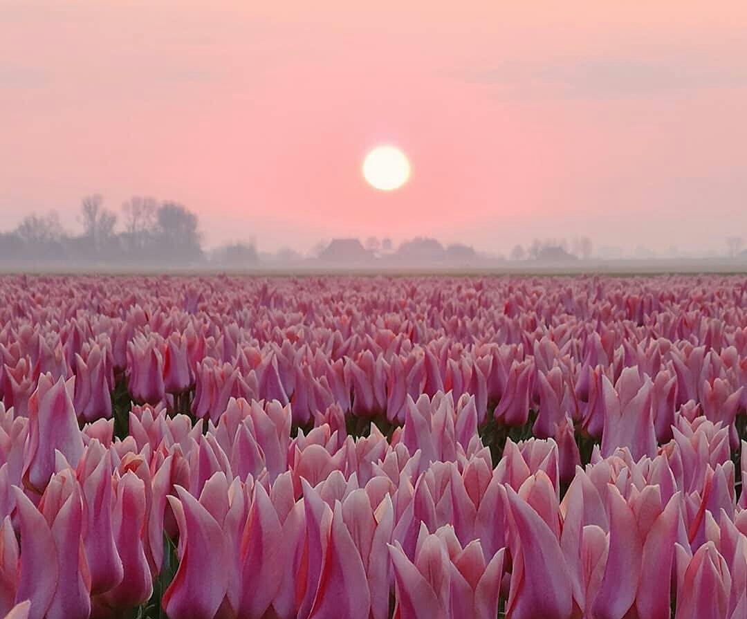 s. u. n. s. e. t. (@sunset731) on Twitter photo 