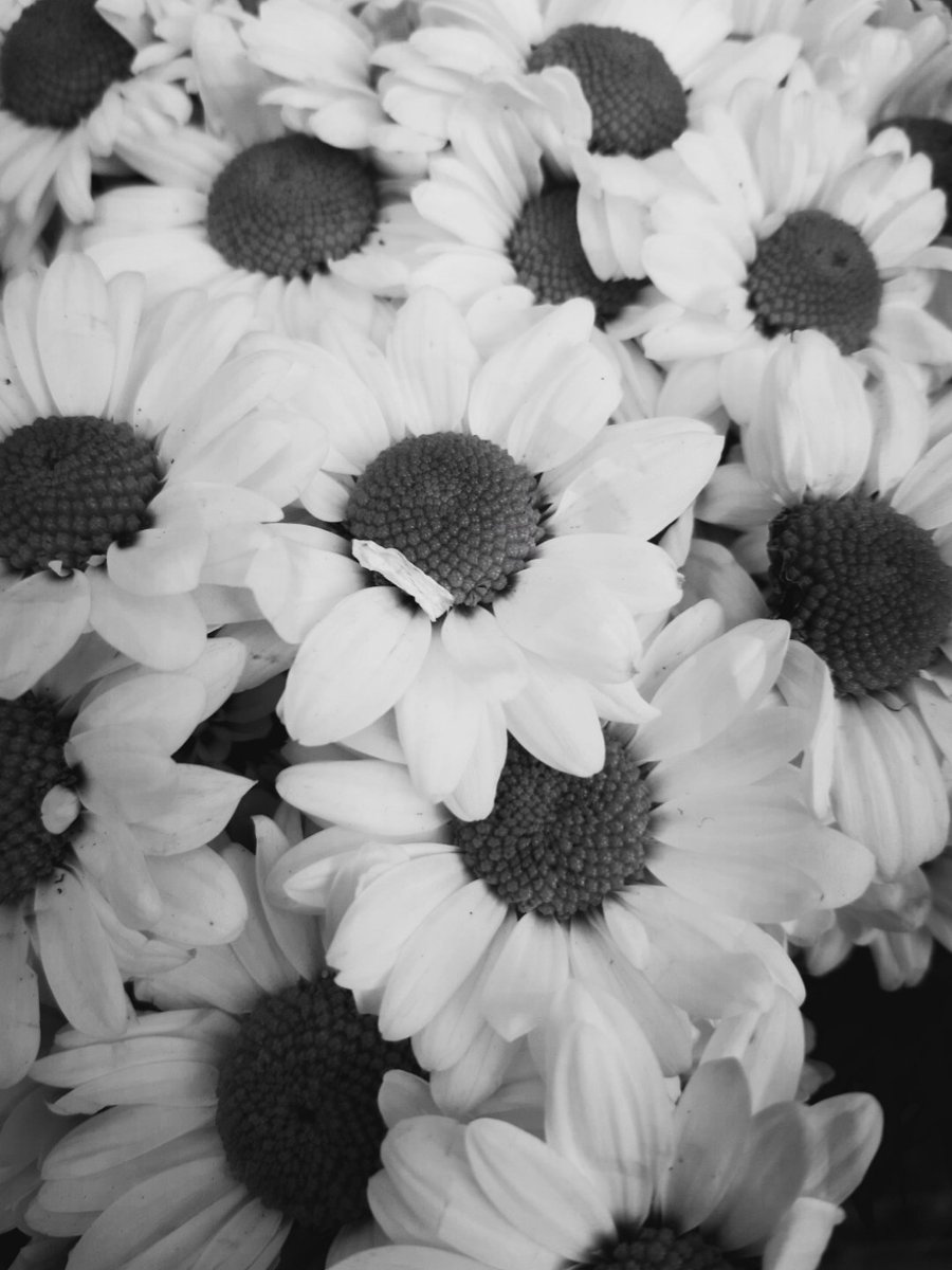 Ne kötüdür insanın aklıyla yüreği arasında çaresiz kalması. Ne kötüdür ona an kadar yakın, bir asır kadar uzak olması!
Nazım Hikmet Ran