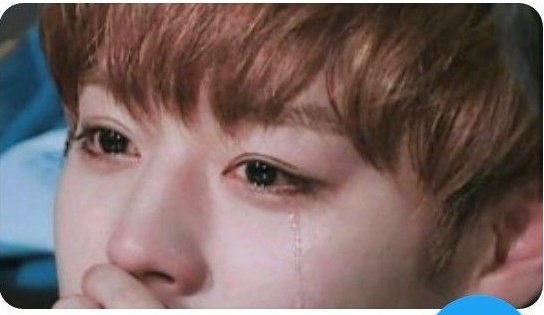 00Pausa's tweet photo. " Ele me bateu, me estrupou com o cabo da vassoura me fez de bonecão de posto. Mas com um súbito toque de arrependimento, ele limpou minhas feridas e cuidou de mim. Me apaixonei loucamente."

Ky lindou, Mano
#tipodefic #tiposdefics https://t.co/hclOrXftoo
