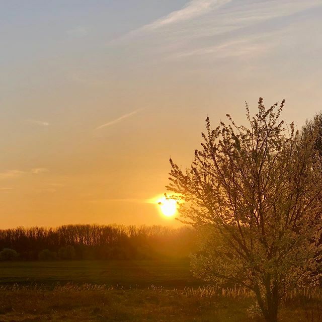 seni_bl's tweet photo. Schöne Abendrunde gedreht mit K1 #sunset #walkinground #relaxingmode https://t.co/k2ae1zp3XO https://t.co/5Vt3M2zji0