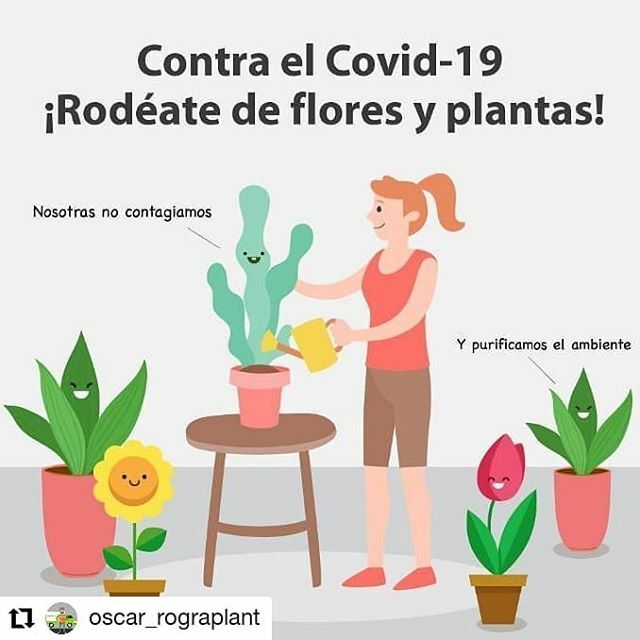 petalslatorre's tweet photo. ☘️Perquè més val previndre que curar.
☘️Hem decidit tancar fins nou avís.
☘️Fer bondat no costa res. 🌱Aprofiteu de cuidar de les les vostres plantes en familia.
📲Si us convé alguna cosa,  podeu trucar al Tef. Mòvil o enviar un WhatsApp. 👀Mirarem  si ho tenim i si us ho podem… https://t.co/cCPbepDKv2