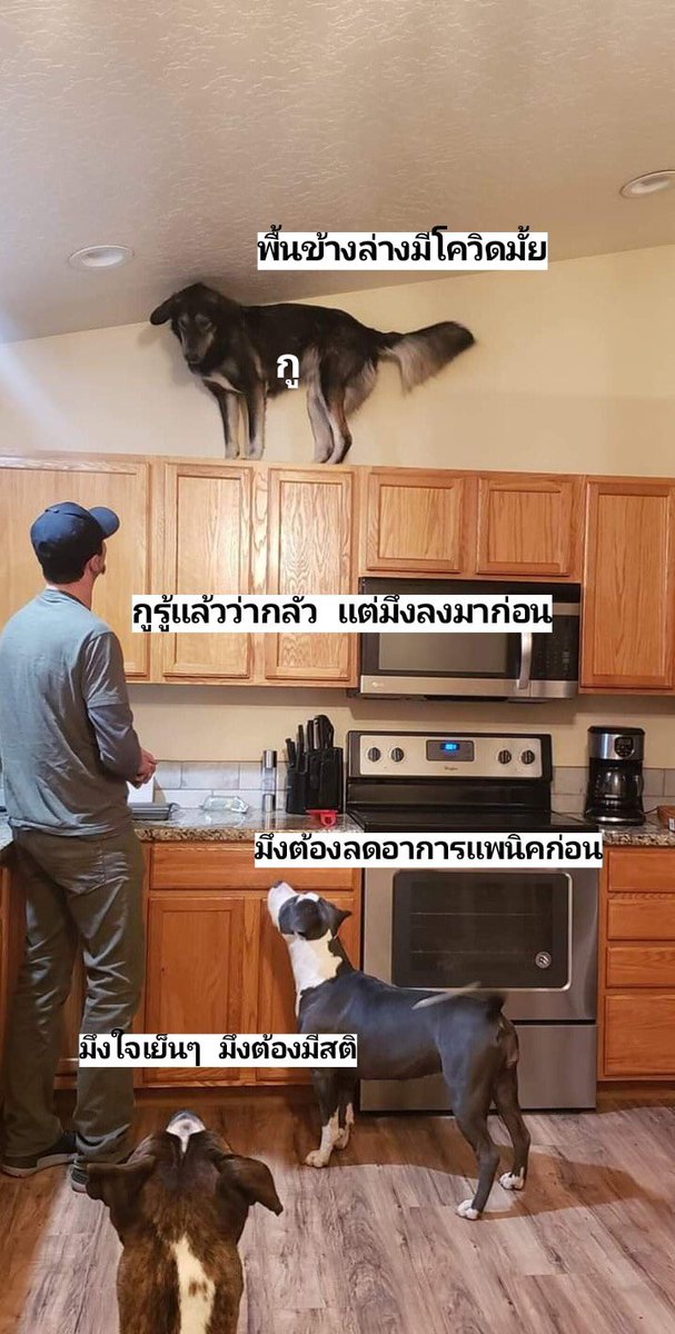 kei07110000's tweet photo. แก้เครียด 😂😂😂
#โควิด_19 https://t.co/cz6Cn20loX