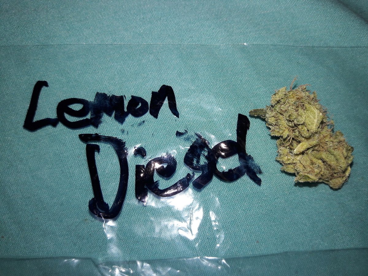Mabeuh9's tweet photo. Avez-vous besoin de la meilleure qualité commandez sur /
Snap/mabeuh_98
Wickr/mabeuh98
#clermontferrand #Tours #Amiens #Limoges #villeurbanne #Metz #Besancon #Perpignan #Orleans #Caen #mulhouse #rouen #NANCY #boulognebillancourt #ARGENTEUIL #Montreuil #saintdenis #roubais #paris https://t.co/PFAt7iTnXa
