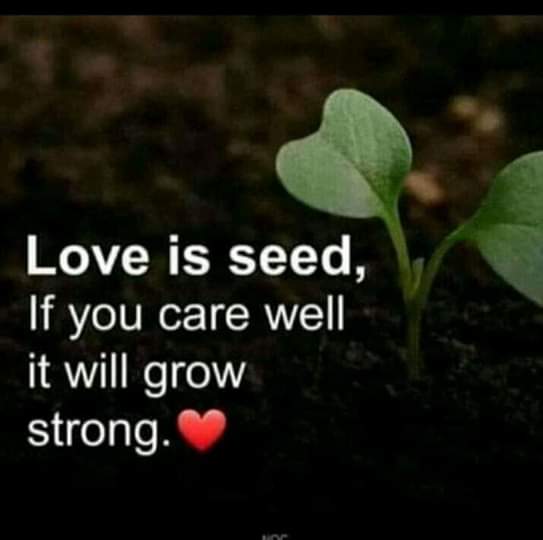 RunaBeg98093948's tweet photo. Love is first .Love is seed, If you care well it will grow strong.
#Runabegum #9by9TH #AlwaysWithBangtan #BheegeChunarWaliSana #BaarishWithPaHira #AsiManshiReunion #BirthdayPrem22nd #baby #AuratMarch #AuratMar #AuratMarch2020 #911LoneStar #usa #London #Canada https://t.co/6jt7OgdHAU