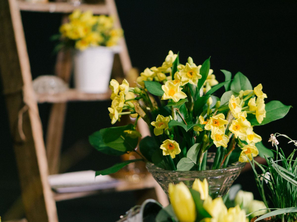 CumbriaHGShow's tweet photo. The beautiful installations dotted around the show were created by first year students at @NewtonRigg using British-sourced flowers. The students also used new innovative Agra-Wool foam; a 100% natural product from Holland. They are one of the first people to use this in the UK! https://t.co/JTCG0rgrdk