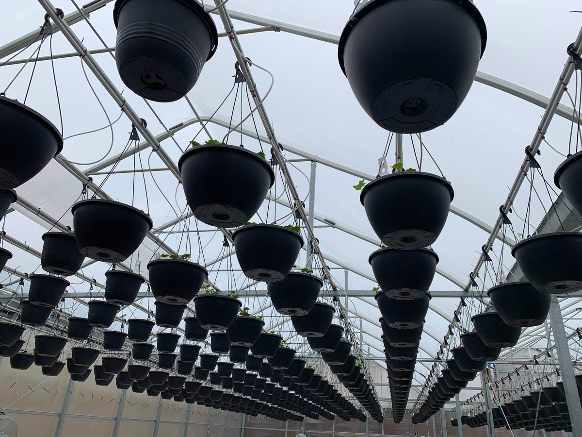 We're busy busy planting and getting ready for garden season 🌺 Who's excited for warmer weather? ☀️☀️☀️