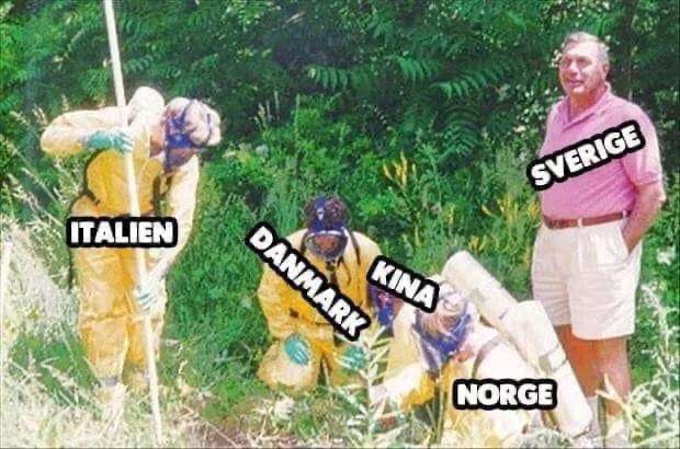 ztr_eman's tweet image. Sweden vs. the rest of the world 😅 
#Coronasverige #COVID19sverige