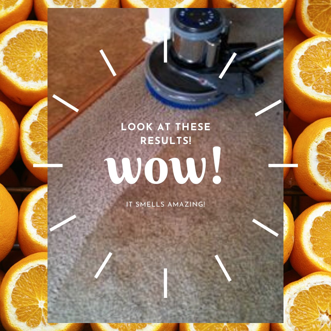 citrusolution1's tweet image. No filter needed! Citrusolutions is the real deal! Call us today to see the results in your own home.  912-536-5336

🍊 #citrusolutions #cleancarpet #freshhome