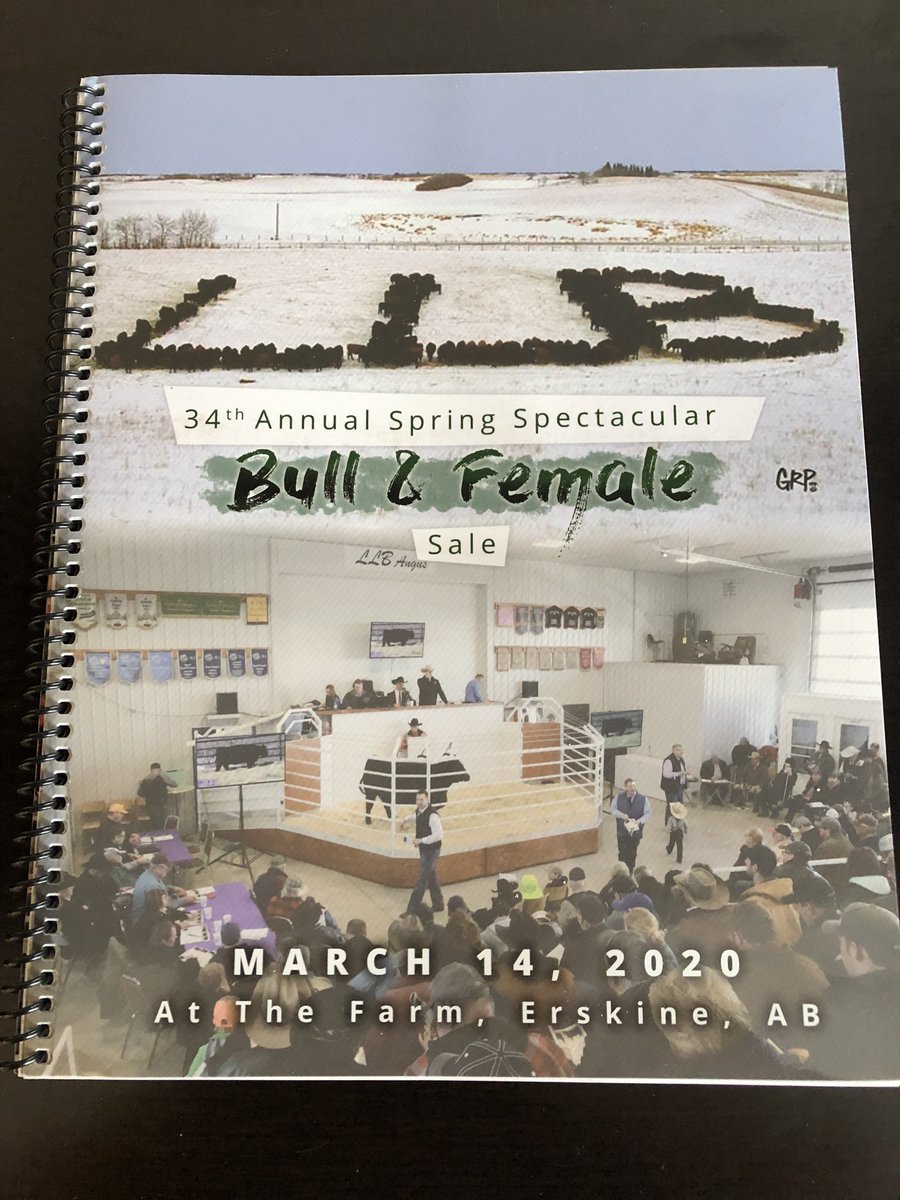 ax74ranch's tweet photo. If bulls are not sold cows don’t get bred. If cows don’t get bred calves are not born. If calves are not born people don’t eat. So today our ranching community will have another bull sale to feed the people. Business as usual at the @llbangus bull sale today. @cdnangus https://t.co/MDZQCGUJVR