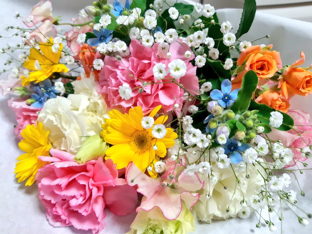 3月3日から体調が悪くなり、お薬や通院を頑張っていたぷっかですが、14日の0時過ぎ、静かに息を引き取りました。
15日で11歳と6ヶ月になるところでした。
半端ない癒やしをくれて、本当に良い子で、最期まで可愛くて、うちに来てくれたことに感謝しかありません。

これからはころんとずっと一緒だね。