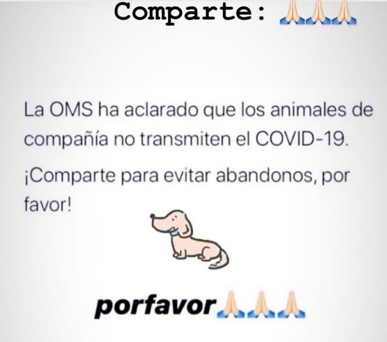 PerrotonEspana's tweet photo. RESPONSABILIDAD.DISTANCIA DE SEGURIDAD , HIGIENE Y TENENCIA RESPONSABLE  #yomequedoencasa Los perros y gatos no tienen Ningún tipo de implicación en el #COVIDー19 
Ni padecen la enfermedad ni la transmiten 💜🐾💚 #perroton @ComunidadMadrid @MADRID #EspanaSiempre https://t.co/fuTHOneRkB