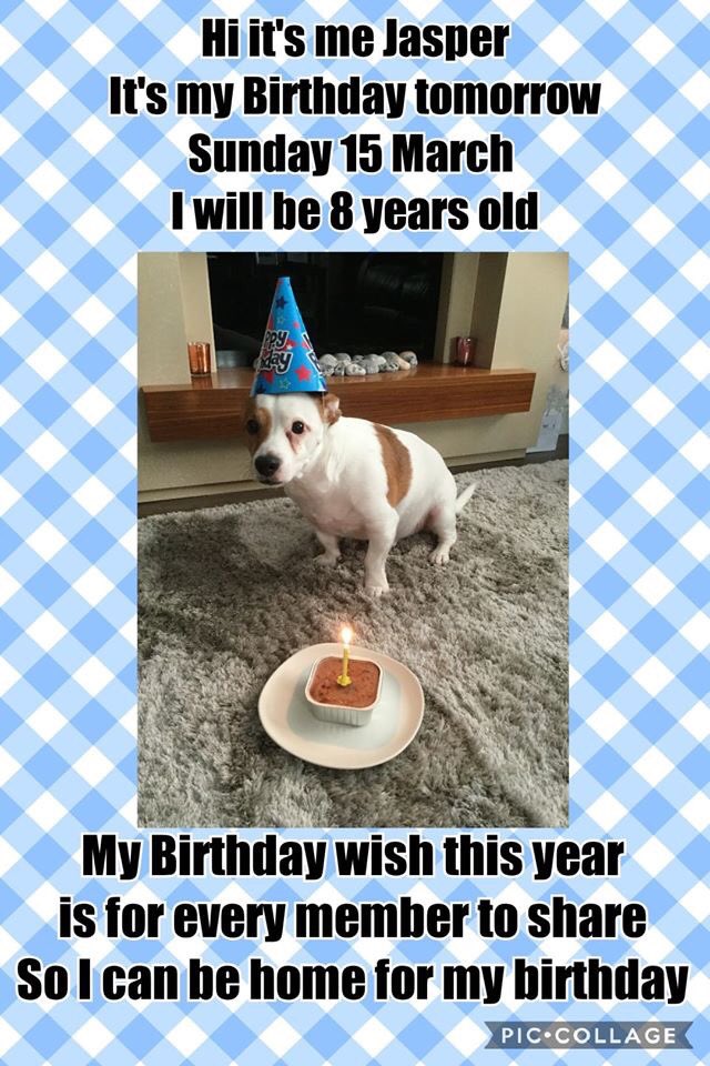 veryluckypugs's tweet photo. 🆘🆘 7k Members reached please keep sharing thank you❤️❤️❤️ https://t.co/aUM1ayhZ7W