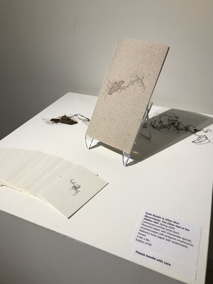 BeidlerKatilyn's tweet photo. I am so happy that I got to collaborate with book artist and paper maker Jillian Sico on this pamphlet about Mycorrhizae for her MFA show!! The letter pressed roots &amp; paper are beautiful. The cover is made of Alabama kozo paper inoculated with chanterelle spores! #dreamy #sciart https://t.co/N3LLyzaCB3