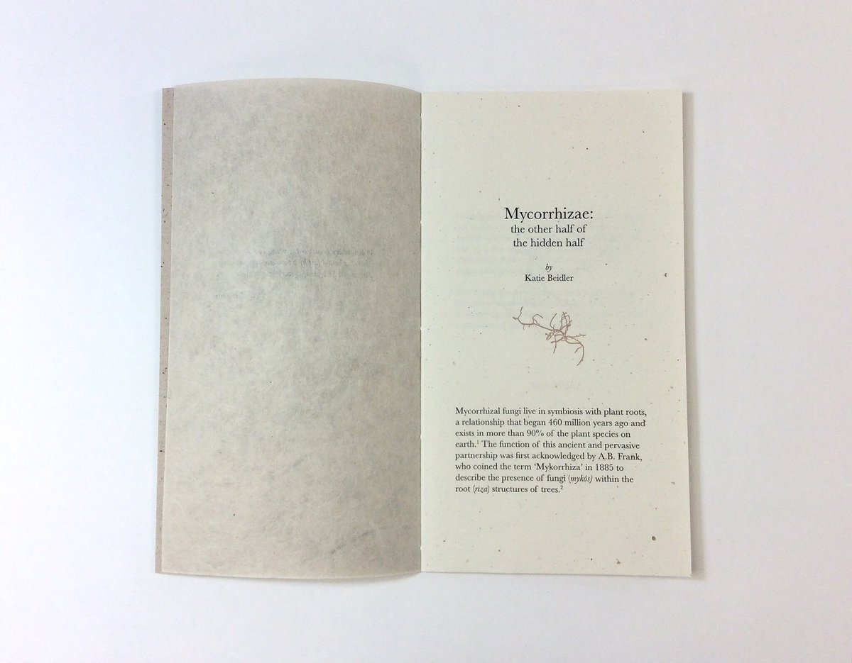 BeidlerKatilyn's tweet photo. I am so happy that I got to collaborate with book artist and paper maker Jillian Sico on this pamphlet about Mycorrhizae for her MFA show!! The letter pressed roots &amp; paper are beautiful. The cover is made of Alabama kozo paper inoculated with chanterelle spores! #dreamy #sciart https://t.co/N3LLyzaCB3