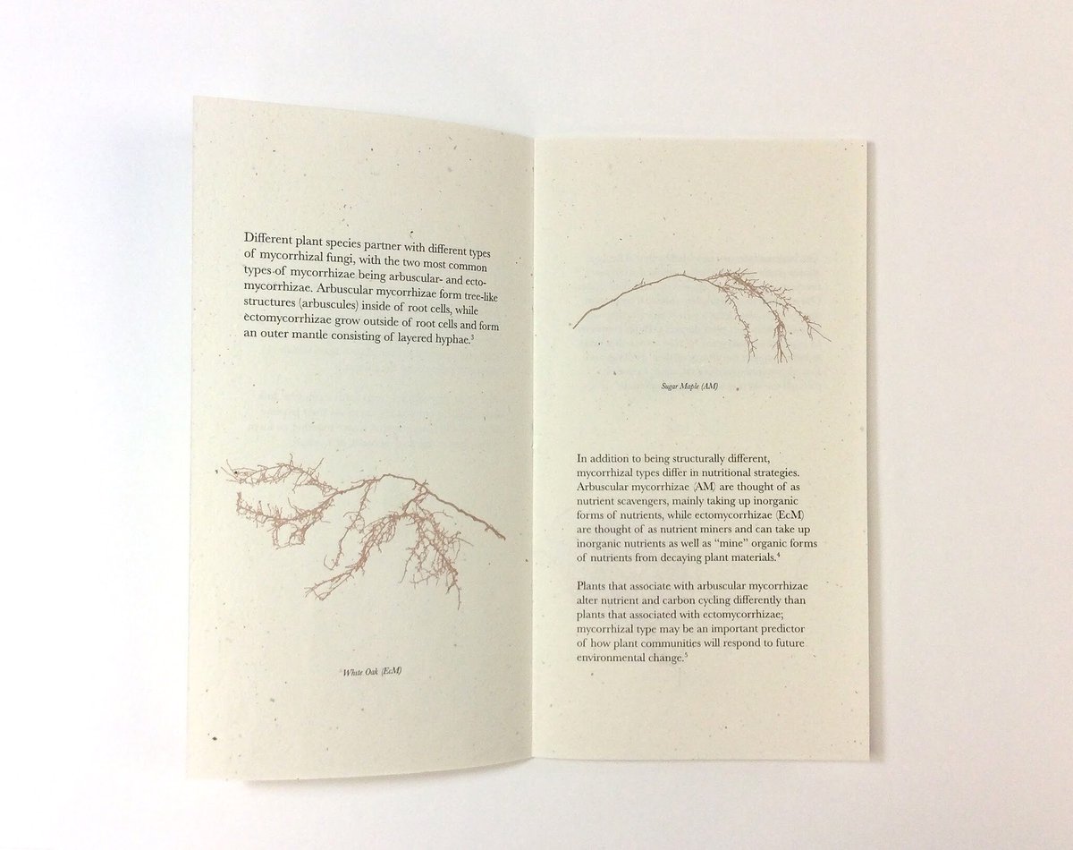 I am so happy that I got to collaborate with book artist and paper maker Jillian Sico on this pamphlet about Mycorrhizae for her MFA show!! The letter pressed roots &amp; paper are beautiful. The cover is made of Alabama kozo paper inoculated with chanterelle spores! #dreamy #sciart