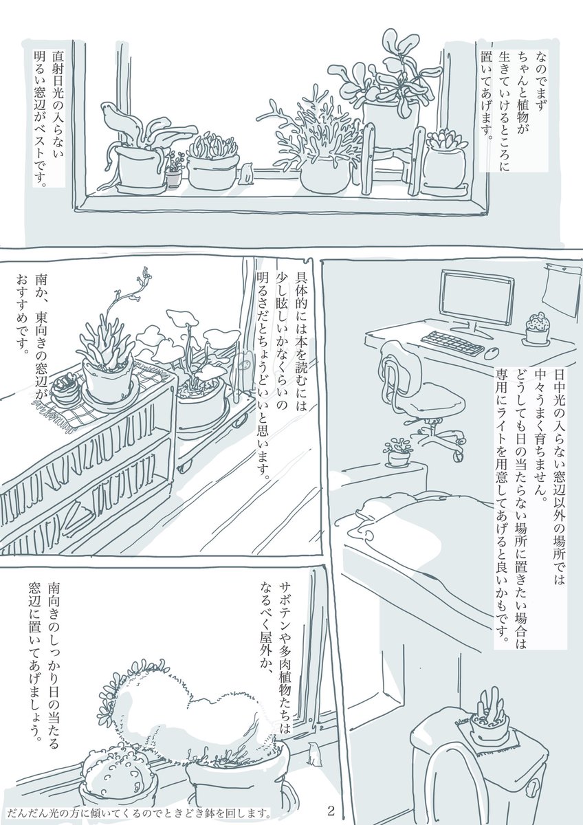 観葉植物と暮らす上で大切な
たった2つのこと? 