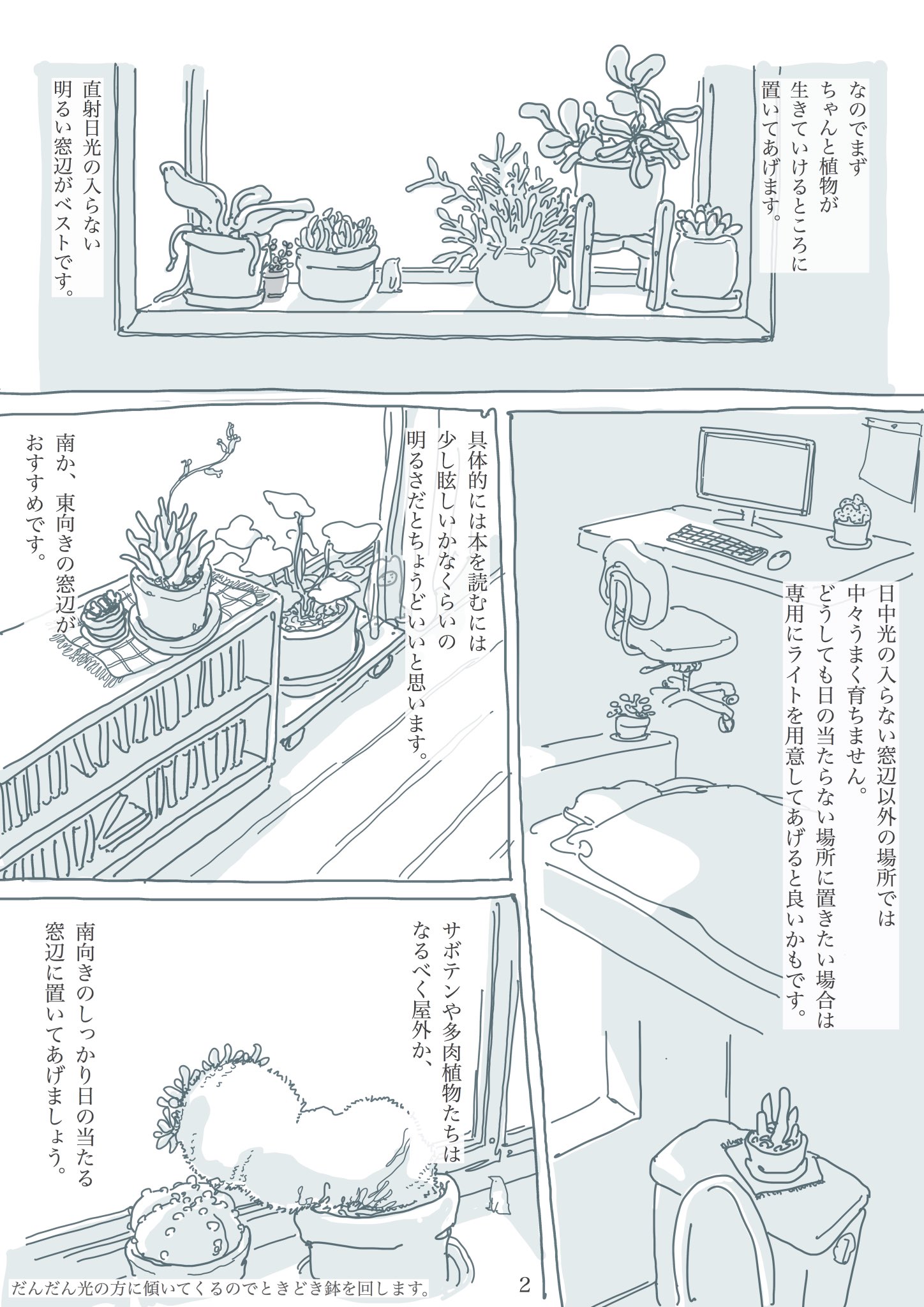 Sano Yuichi 観葉植物と暮らす上で大切な たった2つのこと T Co Uk2esueedp Twitter