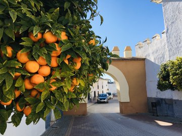 Castillo de Tajarja y vistas. Tarde estupenda de marzo. #Granada <a href="/masquegrana/">Más turismo Granada</a>
 <a href="/granadaocio/">Granada Cultura y Ocio</a>
 <a href="/PlanesGranada/">GRANADA</a>
 <a href="/GranadaCTours/">Granada Cultural Tours</a>
 <a href="/turgranada/">Turismo Granada</a>
 <a href="/megustagranada/">Me Gusta Granada</a>
 <a href="/granadaturismo/">Granada Turismo</a>
 @Guia_Cool
 <a href="/hola_granada/">holaGranada</a>
 <a href="/FotosAndalucia/">Andalucía en fotos</a>
 <a href="/viveandalucia/">Vive Andalucía</a>. Por 
<a href="/BlasDeLezo00/">Wilder’s</a>