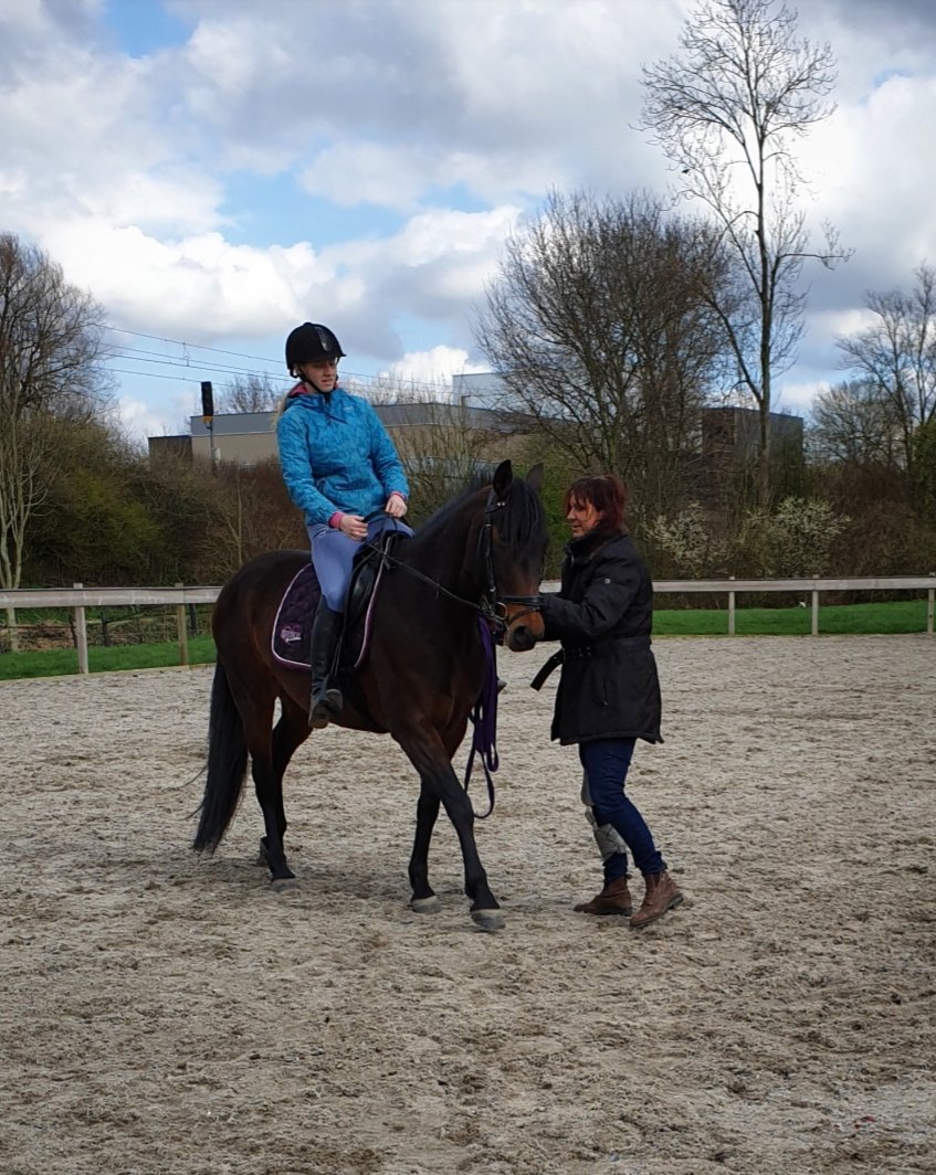 Natas__cha's tweet photo. En geslaagd!!
Voor mijn oudste een mooi zadel, nu kunnen ze samen weer aan de slag 💞
#Passier https://t.co/aNz8knEw2M