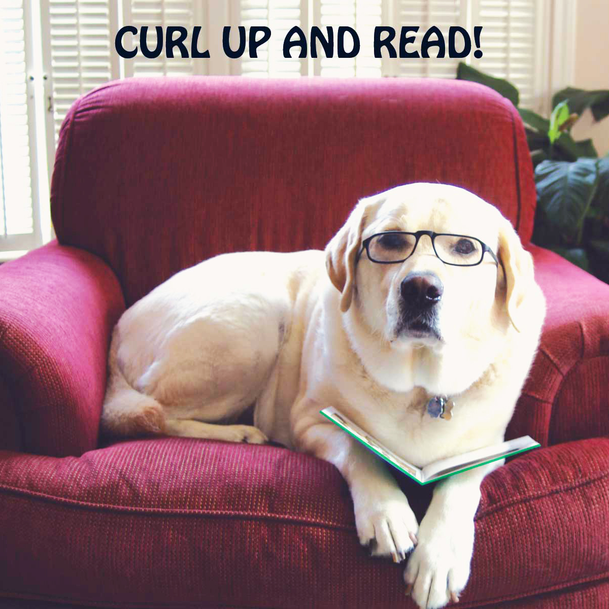 MaryRuthBooks's tweet photo. "Reading gives us someplace to go when we have to stay where we are." ~ Mason Cooley
#readwithafriend #maryruthbooks #keepcalmandread #washyourhands https://t.co/n7dHei0Aei