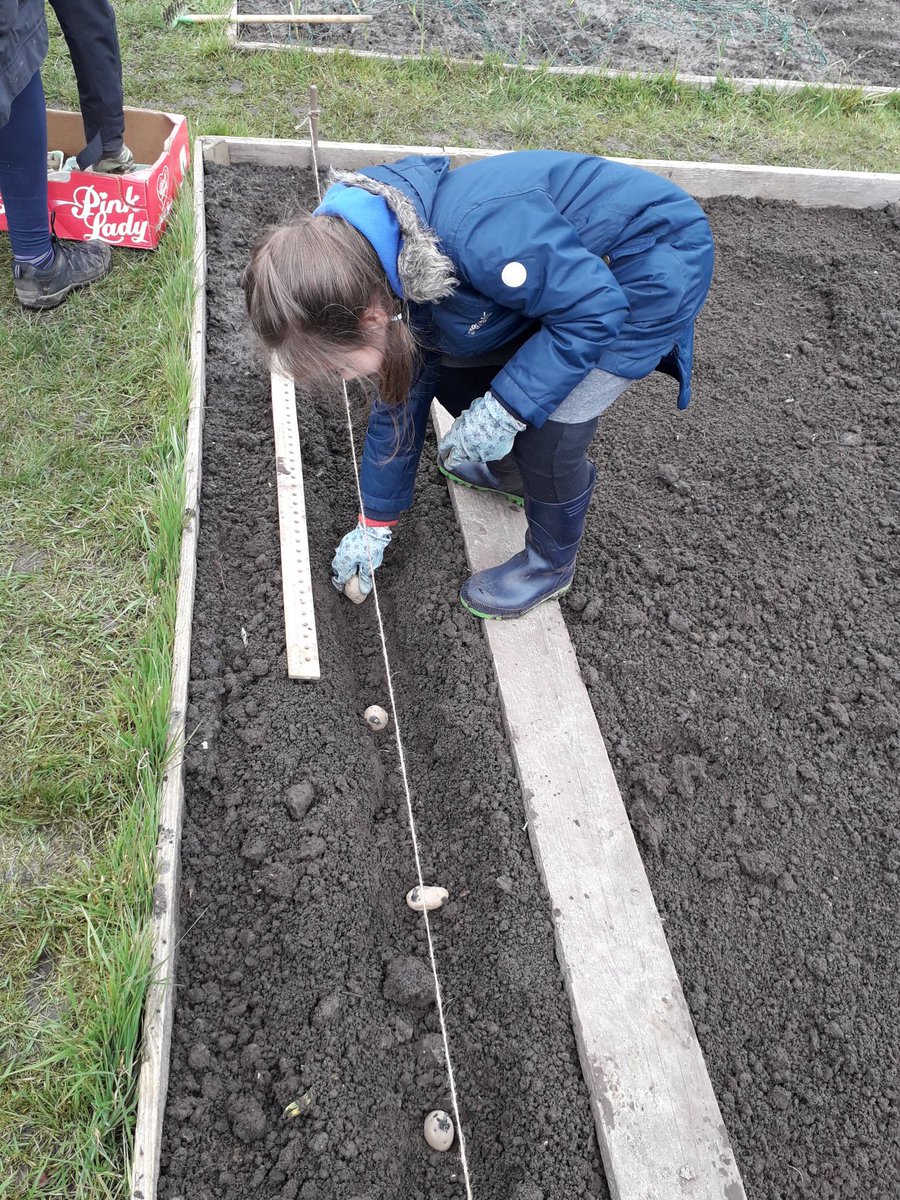BDBFood's tweet photo. The potatoes are in. Hopefully the harvest should keep us going until October. @BDBFood #Sustainableliving #WellbeingMyTopPriority #ReducingFoodMiles https://t.co/A4hnjaS0Bp