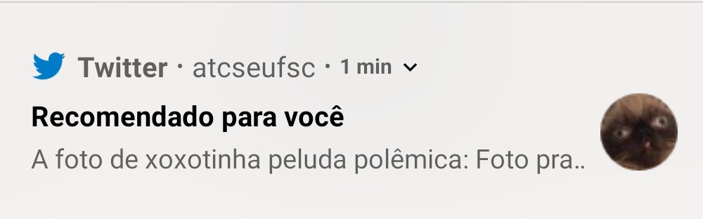 Acho q o twitter tava no bar ontem tb........