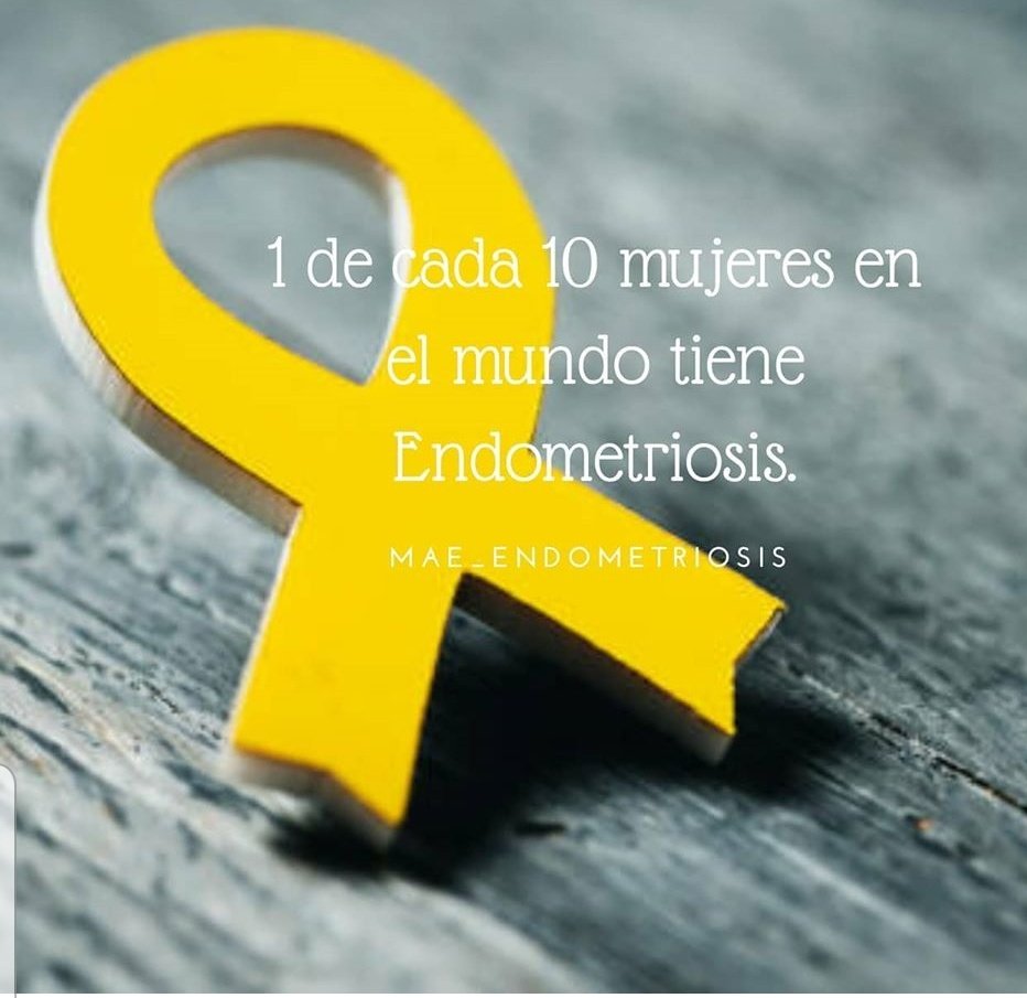 severiniromina's tweet photo. #LeyDeEndometriosisYa 
#SiDueleNoEsNormal 
@andreitafbi https://t.co/r6xudvCh5o