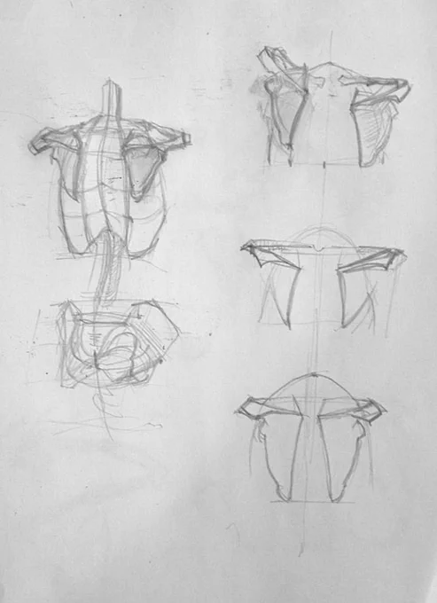 I did some copies but if you think I understand it properly I don't. But I gotta just continue doing things 