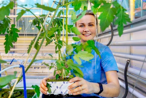AutoGreenhouses's tweet photo. Autonomous Greenhouse Challenge: Teams are now controlling the greenhouses with their AI algorithms remotely since ca.1 week. All plants are healthy, bumble bees are pollinating and we expect first fruits in a few weeks. https://t.co/B7BnyyB0Tm
