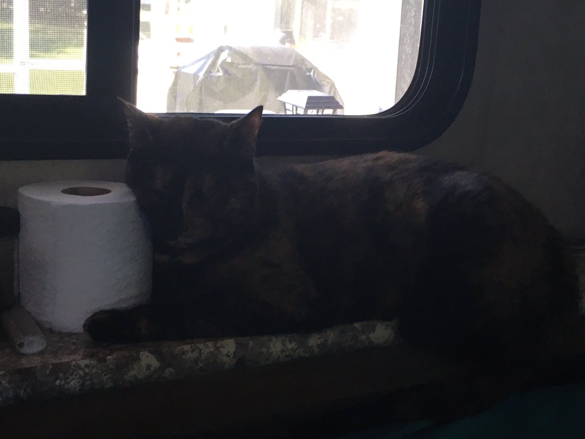 DannyCT12's tweet photo. She doesn’t even wipe!! https://t.co/BbL0cs06Bd