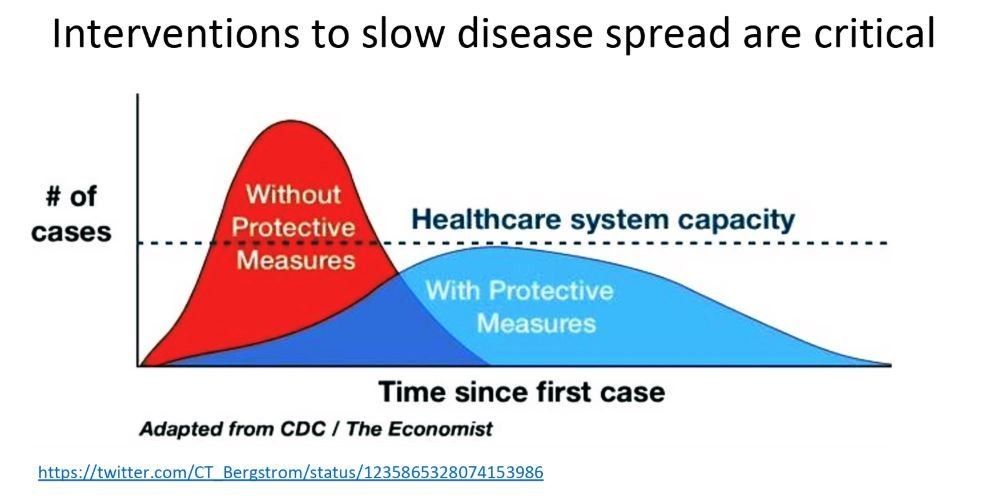wef's tweet photo. 'Over-reacting is better than non-reacting' - academics around the world share thoughts on coronavirus https://t.co/G6CNgWXife #flattenthecurve @ImmunoFever https://t.co/zaSalx6hRy