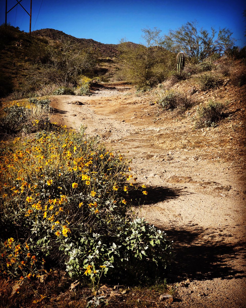 jwilliams_aux's tweet image. “Take Time for Yourself Everyday b/c It Gives You the Ability to Do Everything Else”, Habit 7: Sharpen the Saw @TheLeaderinMe @ChandlerUnified #springintersession