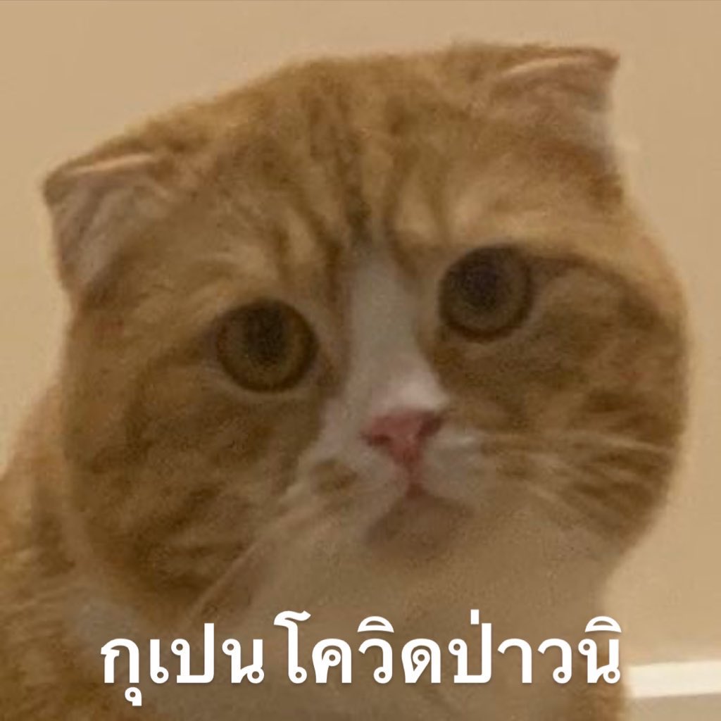 พี่รีน tweet media