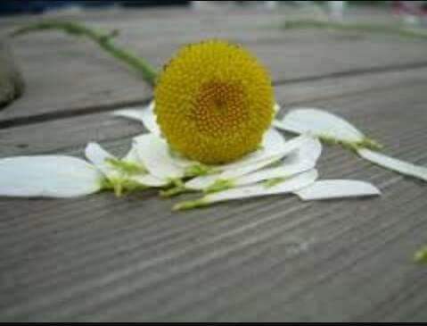 Yurekleri aciyan kadinlar aglamazlarsa ölürler.....