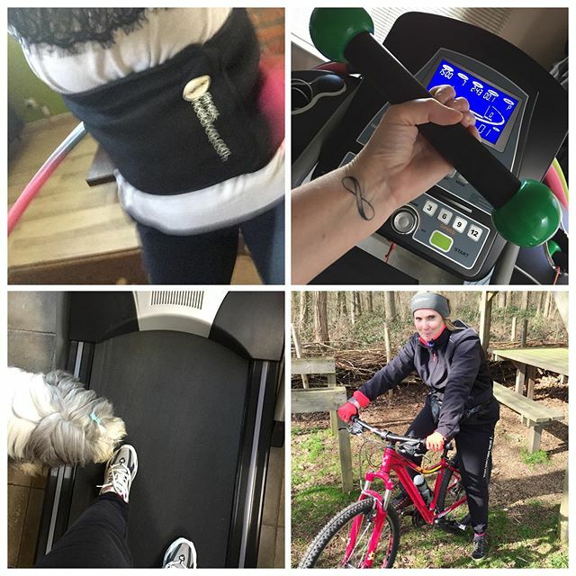 Dreamdog tweet media