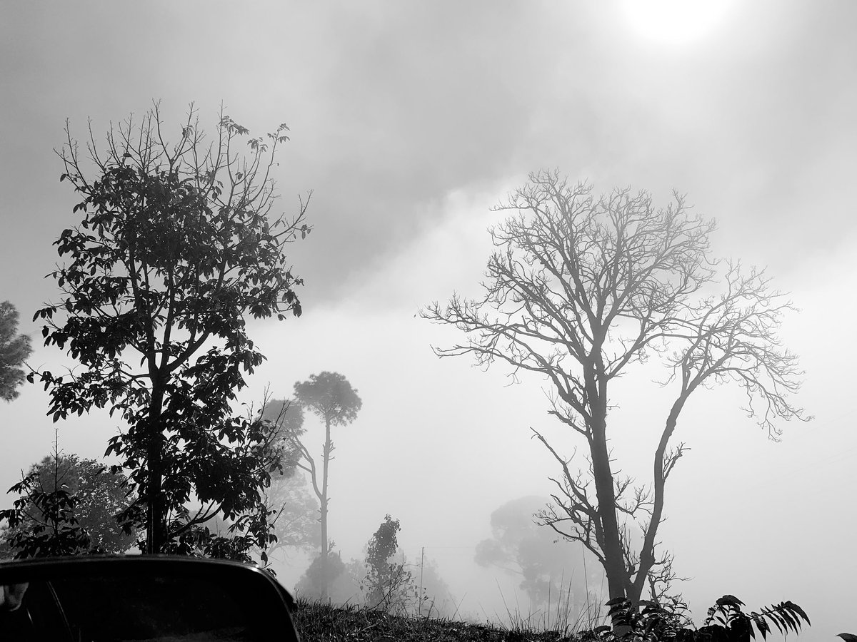 builthistories's tweet photo. The Standing Tree...
#Poetry #poetrycommunity #standingtree #Poetry_Planet https://t.co/XvxvCtc5wo