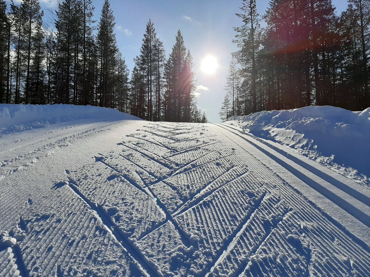 Kari Vaara tweet media