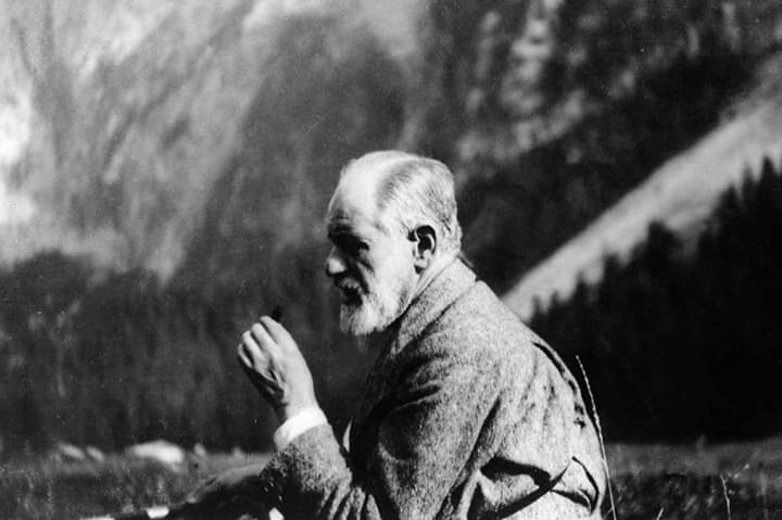 Credo la nostra esistenza sia simile all'attesa: l'attesa di un incontro, l'attesa del ritorno di un nostro caro, l'attesa di un termine per fare quello svolgere quell'altro. Un'attesa di cui è quasi sempre impossibile vederne il punto o il senso
[ cit.modificata]