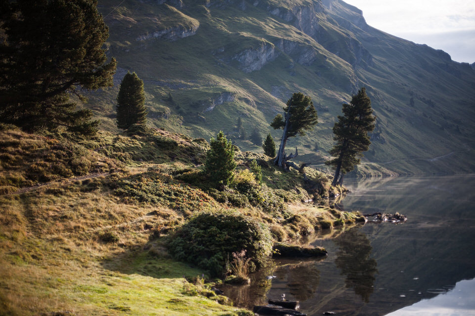 6 Uhr morgens an einem Schweizer Alpensee #travel #schweiz #swiss #mitdembullidurcheuropa #urneralpen