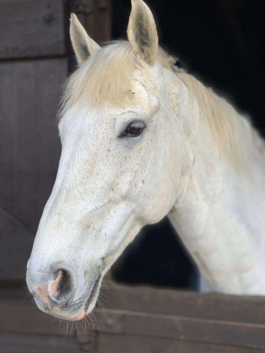 Claire Drey-Brown tweet media