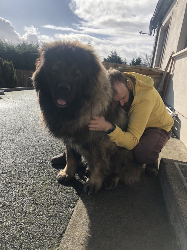 Rolf_Rhea's tweet photo. @Kraturescuedog Just giving dad some love ❤️ https://t.co/dBzIDUBGBL