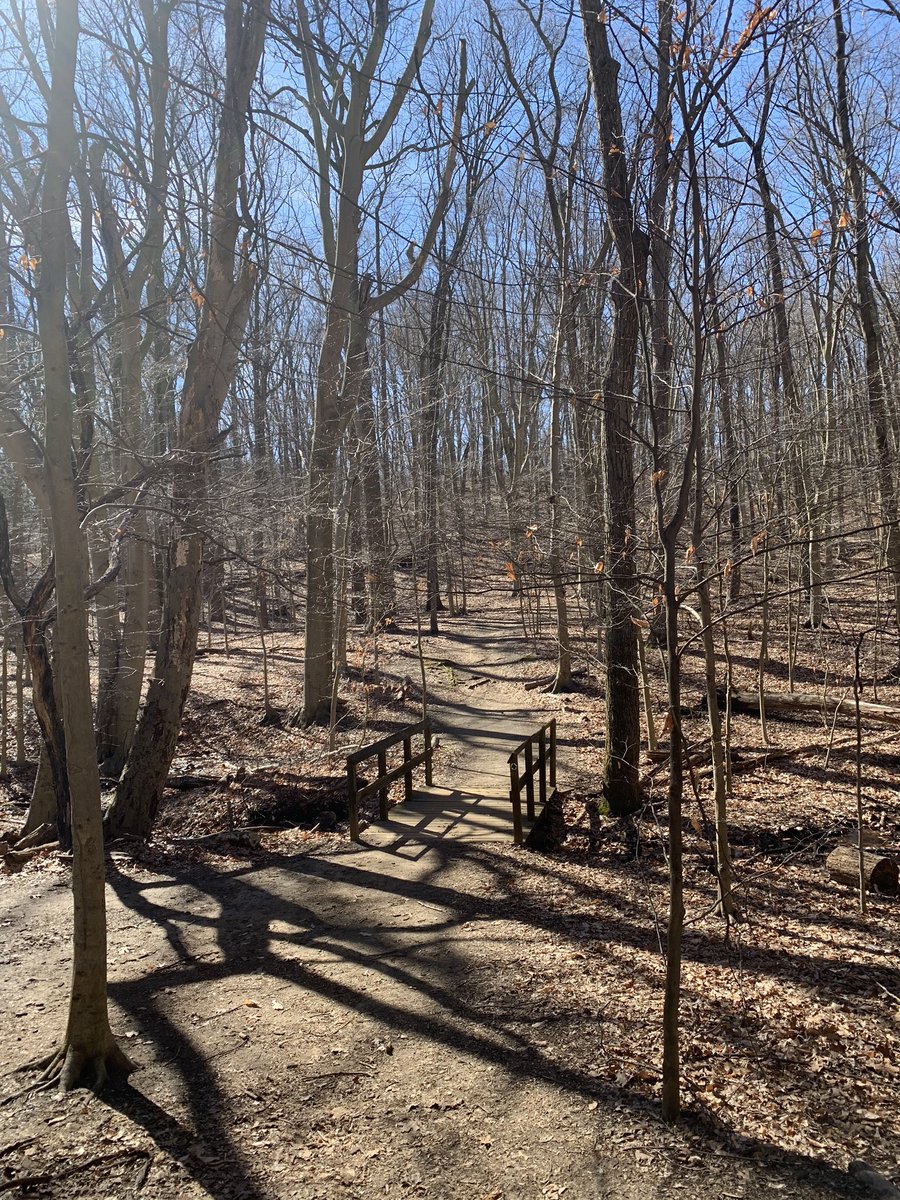 Great weather for a walk/run today. Get out and get some exercise! 60 minutes per day! #RBWell #RBBisBIA <a href="/rbmsROCKETS/">Red Bank Middle</a>