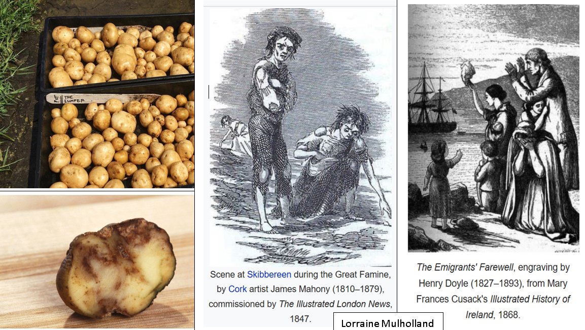 Thread: The Great Famine/An Gorta Mór 1845-50 1-1.5 million died. 1-2 million emigrated. [estimates vary greatly, especially as whole families died so no one left to tell their story, & census figures underestimated as it was not compulsory to record births/deaths pre-1864]