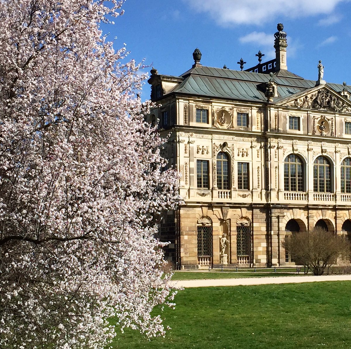 What a beautiful day!😉🍀 ... trotz allem, liebe Freunde! #dresden #dresdencity #dresdenaltstadt #flowerstagram #frühling #dresdengram