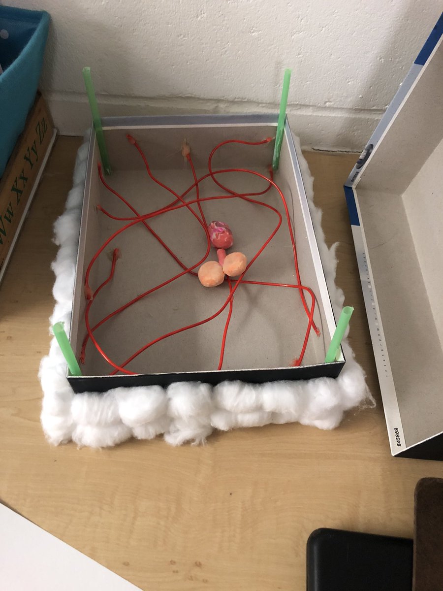 CampeseMadison's tweet photo. Students presenting their planimals! The effort put into these projects by my students was unbelievable. It made my teacher heart happy to see how excited and proud they were. ❤️ https://t.co/Lte0KIqlD2