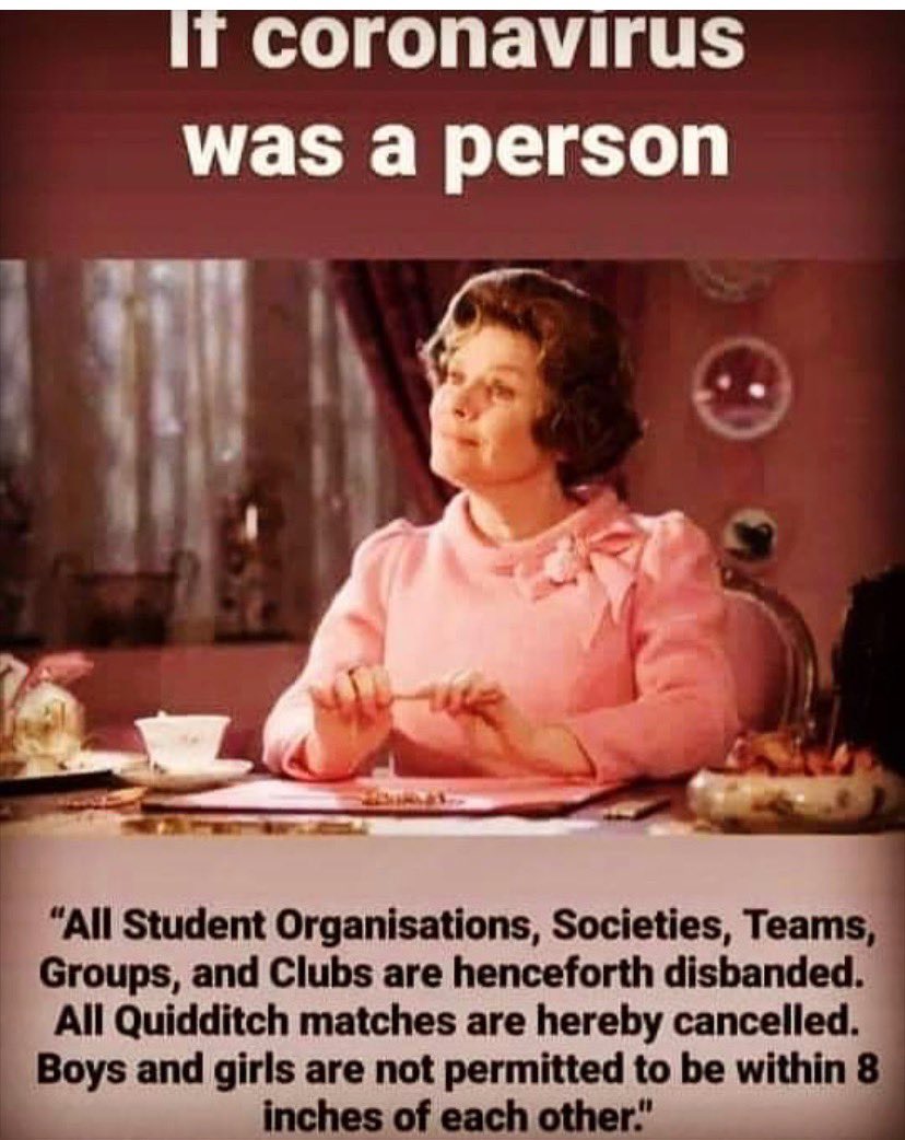 guddonof's tweet image. Gudd Memes! #HarryPotter meets #coronapocalypse results in #Coronials stay safe my friends! Gudd Enough for me!