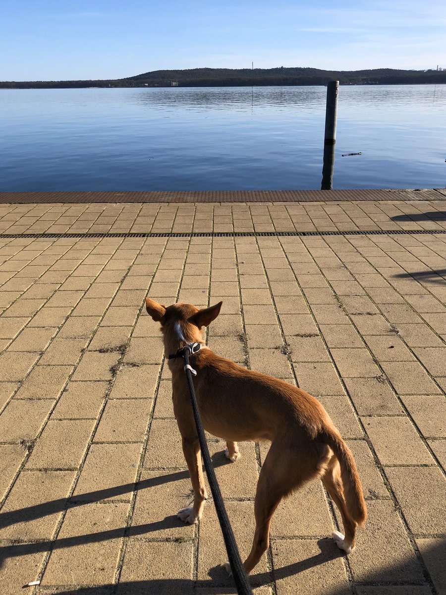 Herzspitze's tweet photo. Und sonst so?
Mal ein anderes Thema.
#Sonne #lockdown #SocialDistancing #Arztleben #coronaberlin https://t.co/qmBU86RwHg