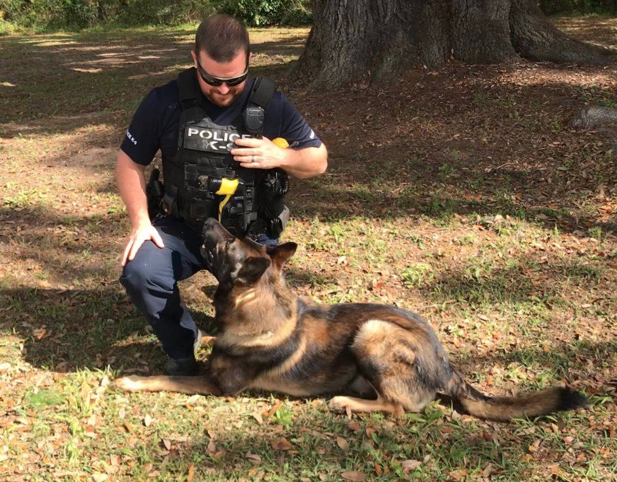 A captured moment of understanding.

Me: you get me and respect me.

Diesel: What? Where's my freaking ball?